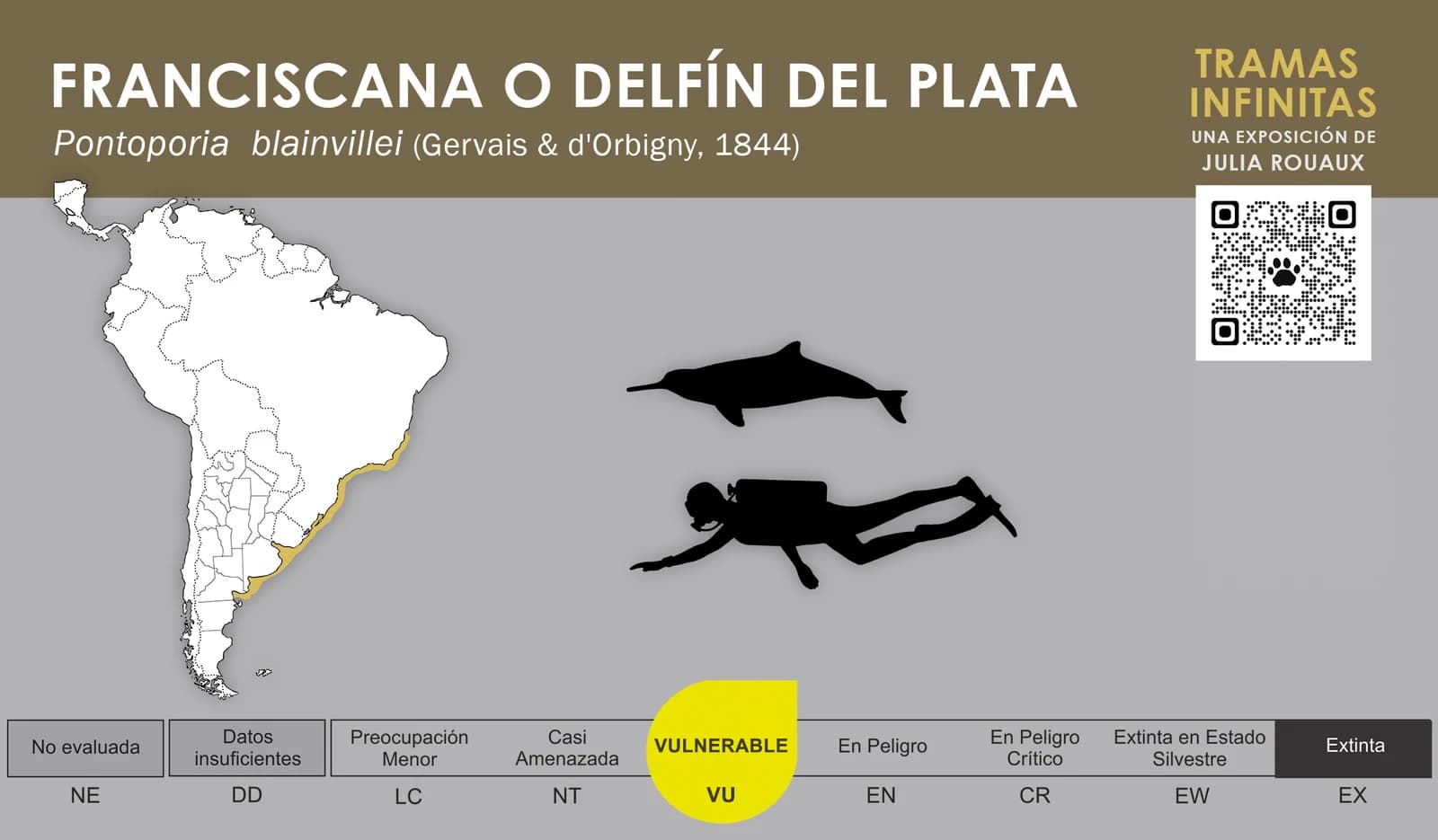 Infografía "Franciscana o delfín del Plata", con mapa de distribución y estado de conservación Vulnerable
