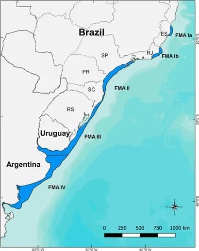 Mapa de las áreas de manejo (FMA) de la franciscana entre Brasil, Uruguay y Argentina