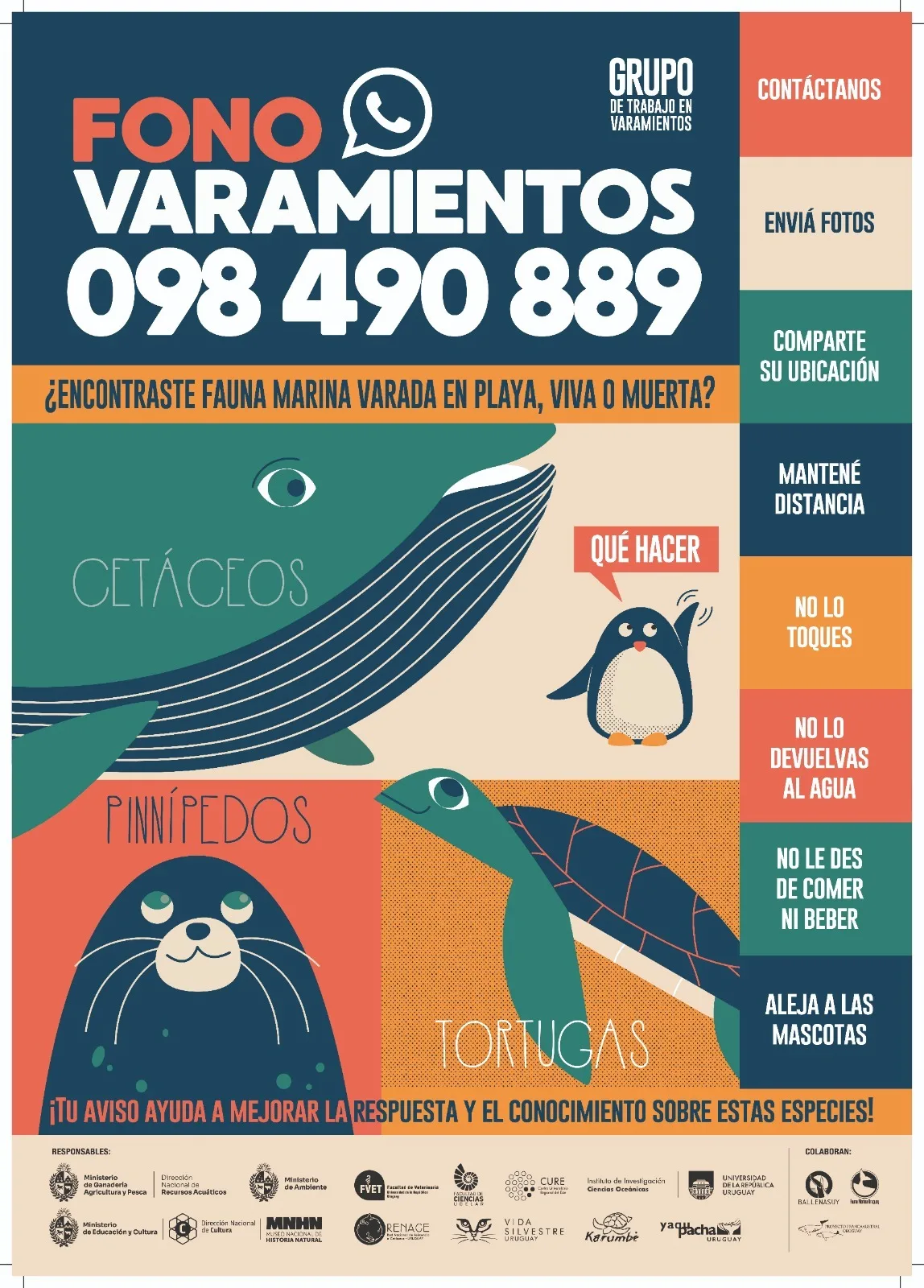 Afiche Fono Varamientos: 098 490 889. Qué hacer si encontrás fauna marina varada, viva o muerta: no la toques, no la devuelvas al agua, no le des de comer ni beber, alejá a las mascotas, compartí su ubicación y enviá fotos.